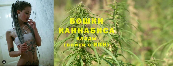 стаф Ростов