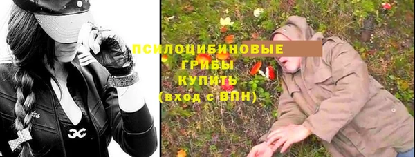 ALPHA-PVP Алексеевка
