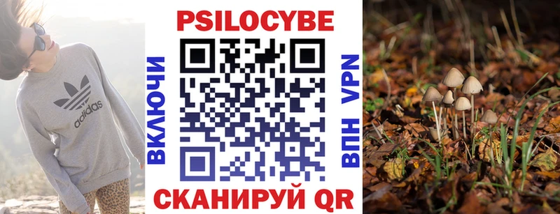 Псилоцибиновые грибы прущие грибы  MEGA зеркало  Славск 